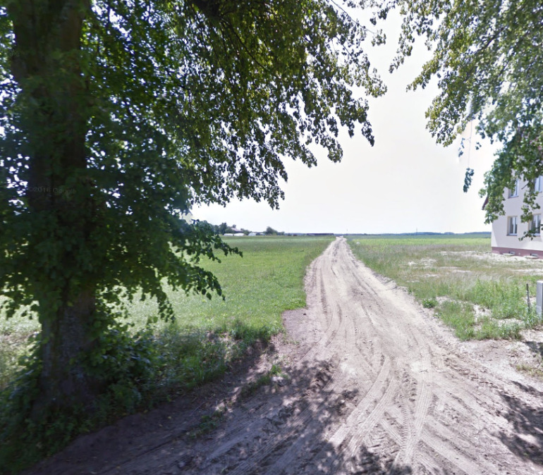 Współczesne zdjęcie. Przedstawia wiejską drogę bez asfaltu, przy której rosną drzewa. Jest to Ulica Odsieczy Wiedeńskiej w Brzeźnie Szlacheckim.