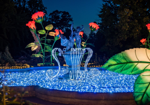 Ogród Różany, Królewski Ogród Światła