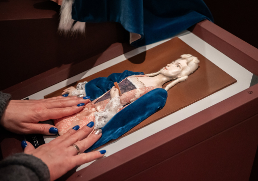 Ręce dotykające modelu dotykowego portretu Marii Klementyny